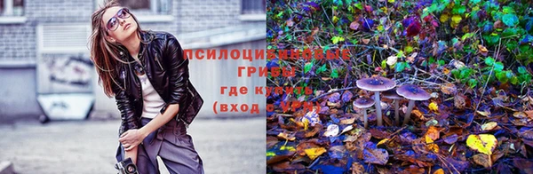 соль ск Аркадак