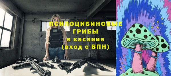 соль курить ск Арсеньев