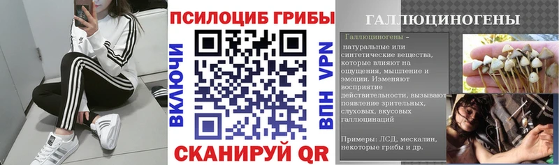 Галлюциногенные грибы ЛСД  Южно-Сухокумск 